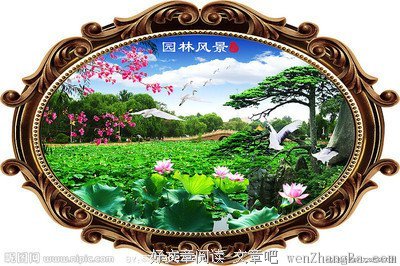 错过了花，收获雨