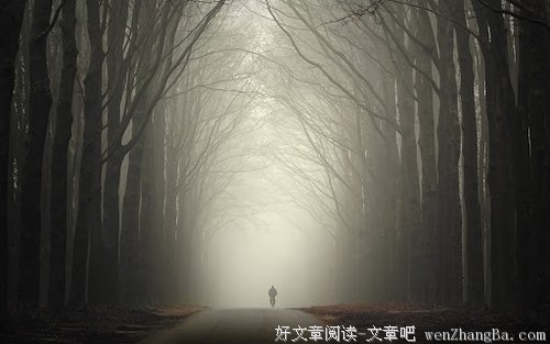他也可以是我