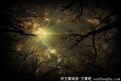 幸福的甜