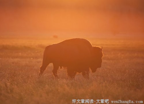 为梦想逃婚的林清玄