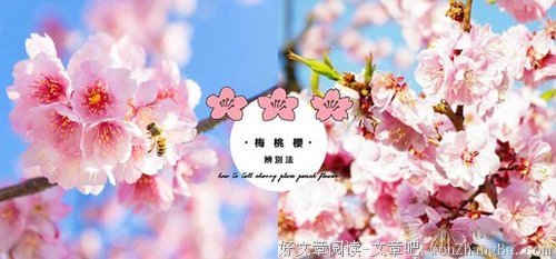 永远99分