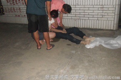 石坑的树