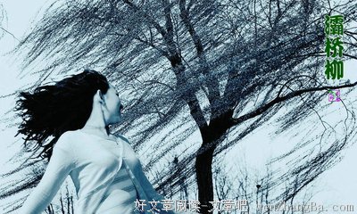 灞桥看柳