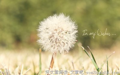 费斯汀格法则