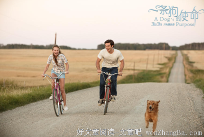 第一次为一条狗哭成狗