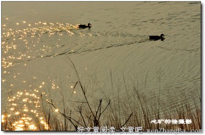  春光水暖