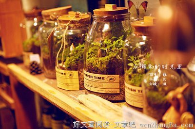 懒鱼馋灯