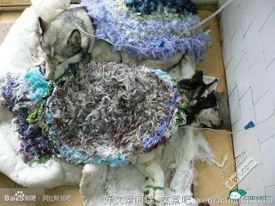为何我们粗暴地对待生活