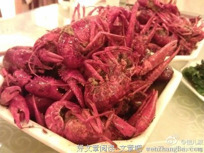 龙虾虽小，也有春天