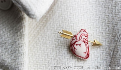  胸针的期待