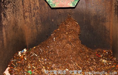  渐行渐远的猪