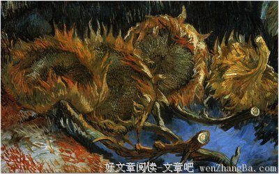注视也是一种温暖