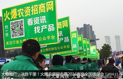 年轻人，别急着证明自己
