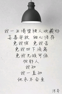  愿你有枝可依
