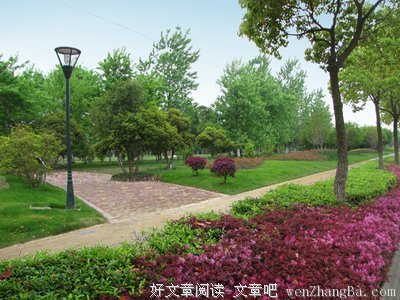 此时无墙胜有墙