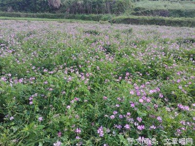 你一定会长大，也一定回不到小时候