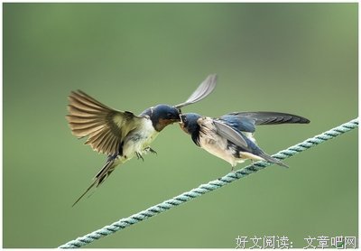  原谅我也是第一次为人子女