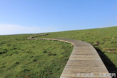 虎行无声