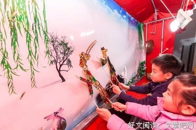 炕和猫