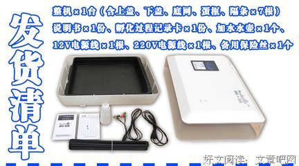 鹦哥与赛鸽