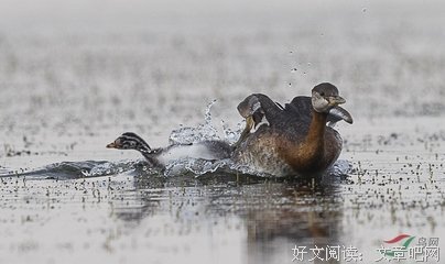 大难
