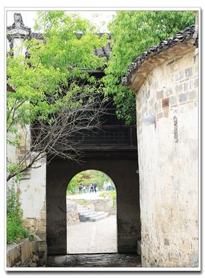 十里桃花，万家酒店