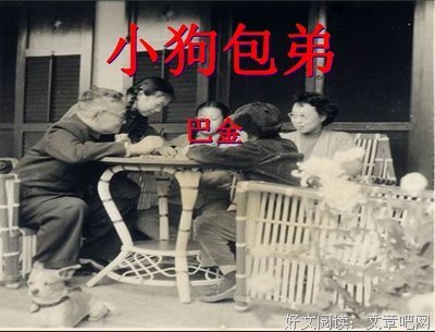  小狗包弟