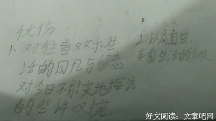  扑进画框