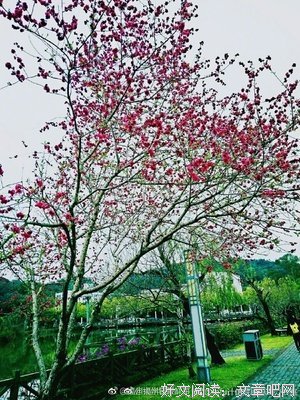 喊桃花