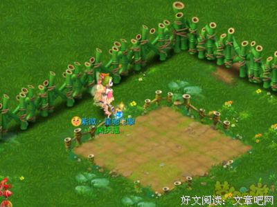 那些鸟会认人