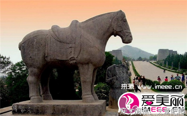  数尽万坟