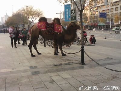  都是你的错