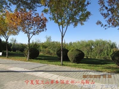 露水和单车