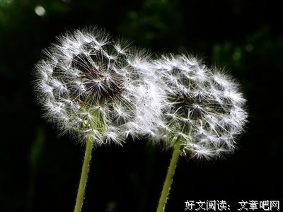 答案在风中飘荡
