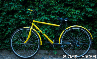 小黄