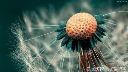 先让自己快乐起来