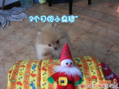 愿欢乐常在