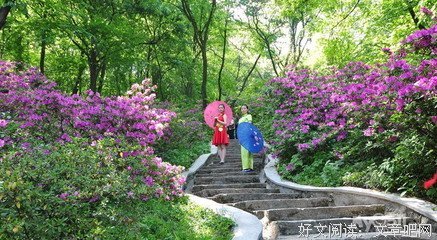 相同的快乐