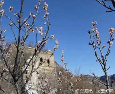  白雪已覆来时路