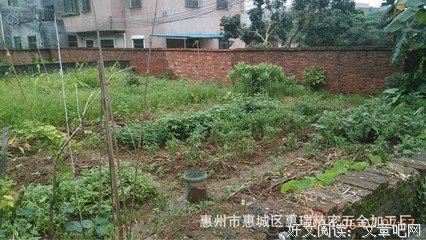 学由瓜得