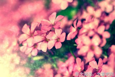 好心态
