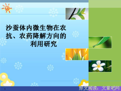 大三时，我已决定