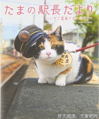  小猫 车站