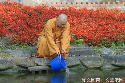 子产放生