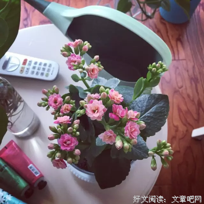 最好的生活