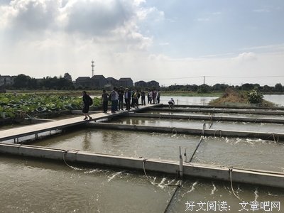 跑步鱼