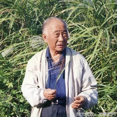 汪曾祺：夏天