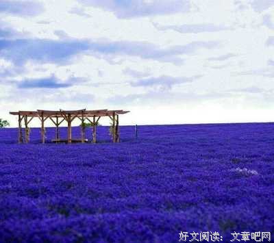 消失的麦捆