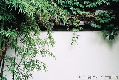东邻的竹和西邻的壁