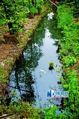  城市低处的灯光